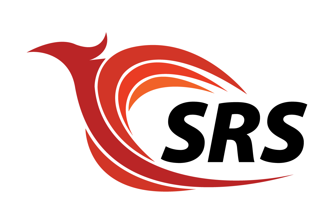 Logo Design for Software Resource & Services